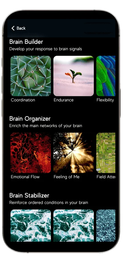 Neurovizr neurovizr.com product information collections brain gym 1.png